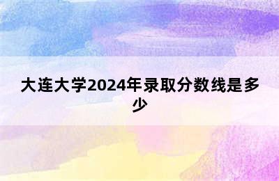 大连大学2024年录取分数线是多少