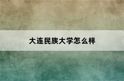 大连民族大学怎么样