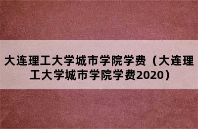 大连理工大学城市学院学费（大连理工大学城市学院学费2020）