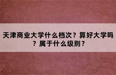 天津商业大学什么档次？算好大学吗？属于什么级别？