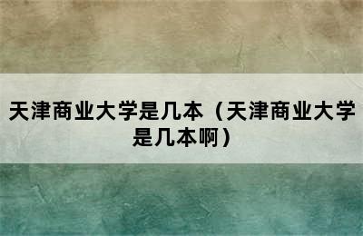 天津商业大学是几本（天津商业大学是几本啊）