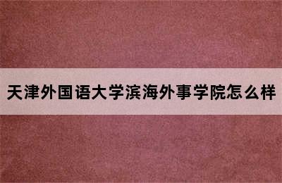 天津外国语大学滨海外事学院怎么样