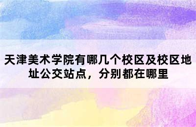 天津美术学院有哪几个校区及校区地址公交站点，分别都在哪里