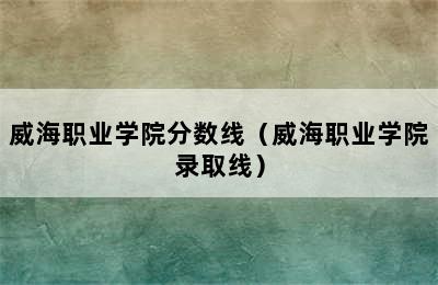 威海职业学院分数线（威海职业学院录取线）