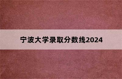 宁波大学录取分数线2024