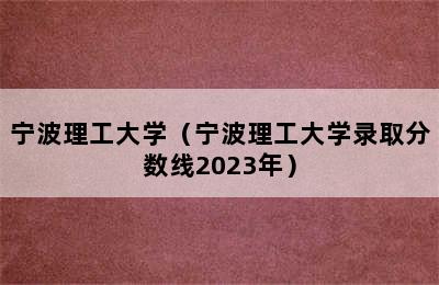 宁波理工大学（宁波理工大学录取分数线2023年）