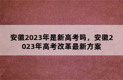 安徽2023年是新高考吗，安徽2023年高考改革最新方案