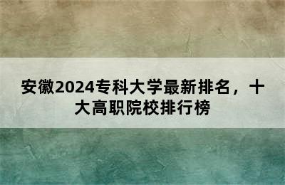 安徽2024专科大学最新排名，十大高职院校排行榜