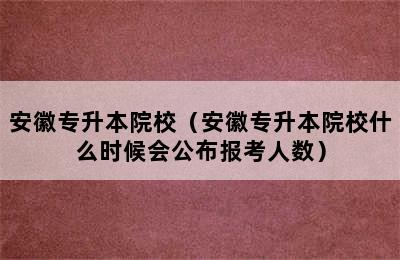 安徽专升本院校（安徽专升本院校什么时候会公布报考人数）