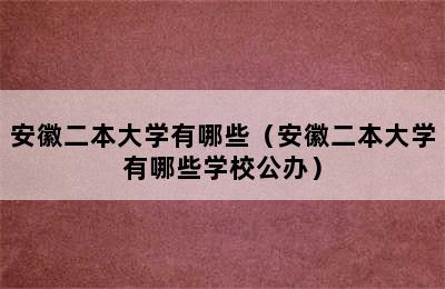 安徽二本大学有哪些（安徽二本大学有哪些学校公办）