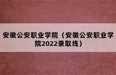 安徽公安职业学院（安徽公安职业学院2022录取线）