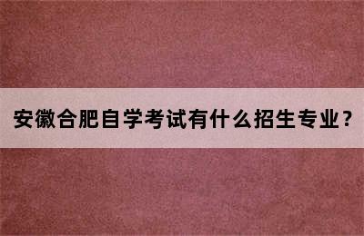 安徽合肥自学考试有什么招生专业？