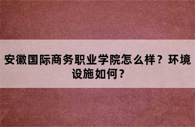 安徽国际商务职业学院怎么样？环境设施如何？