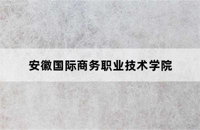 安徽国际商务职业技术学院