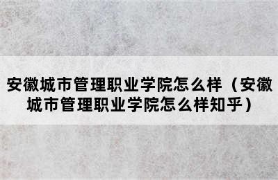 安徽城市管理职业学院怎么样（安徽城市管理职业学院怎么样知乎）