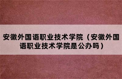 安徽外国语职业技术学院（安徽外国语职业技术学院是公办吗）