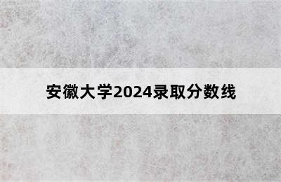 安徽大学2024录取分数线