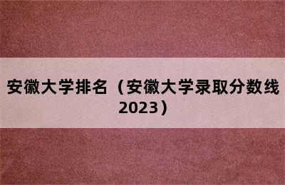 安徽大学排名（安徽大学录取分数线2023）