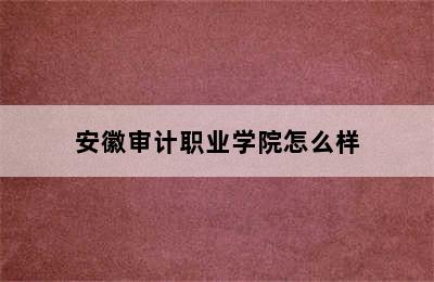 安徽审计职业学院怎么样