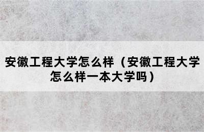 安徽工程大学怎么样（安徽工程大学怎么样一本大学吗）