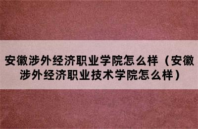 安徽涉外经济职业学院怎么样（安徽涉外经济职业技术学院怎么样）