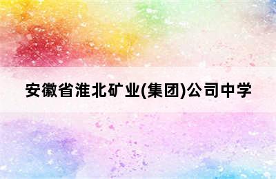 安徽省淮北矿业(集团)公司中学