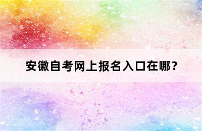 安徽自考网上报名入口在哪？