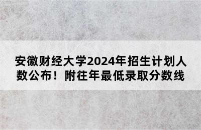 安徽财经大学2024年招生计划人数公布！附往年最低录取分数线