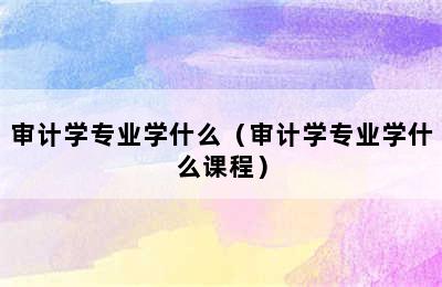 审计学专业学什么（审计学专业学什么课程）