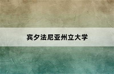 宾夕法尼亚州立大学