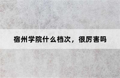 宿州学院什么档次，很厉害吗
