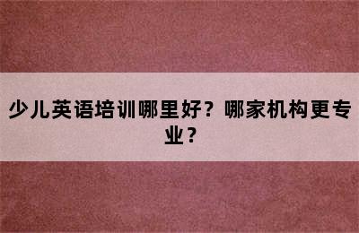 少儿英语培训哪里好？哪家机构更专业？