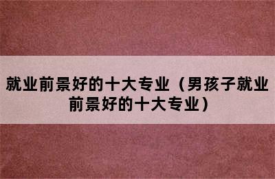 就业前景好的十大专业（男孩子就业前景好的十大专业）