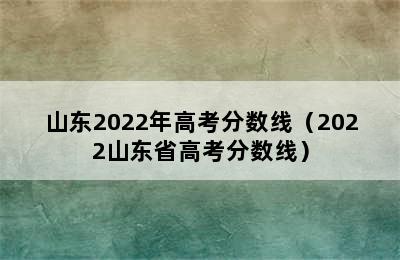 山东2022年高考分数线（2022山东省高考分数线）