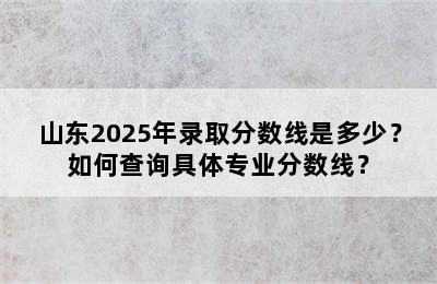 山东2025年录取分数线是多少？如何查询具体专业分数线？