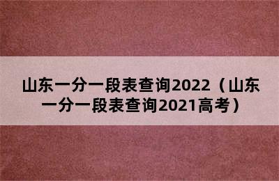 山东一分一段表查询2022（山东一分一段表查询2021高考）