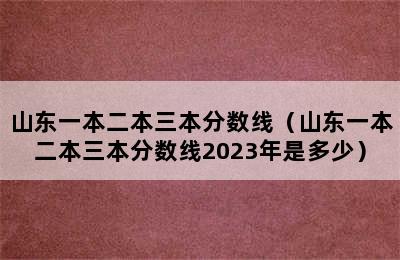 山东一本二本三本分数线（山东一本二本三本分数线2023年是多少）