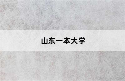 山东一本大学