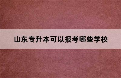 山东专升本可以报考哪些学校