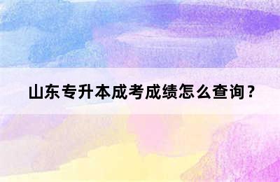 山东专升本成考成绩怎么查询？