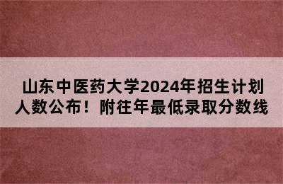 山东中医药大学2024年招生计划人数公布！附往年最低录取分数线