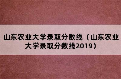 山东农业大学录取分数线（山东农业大学录取分数线2019）