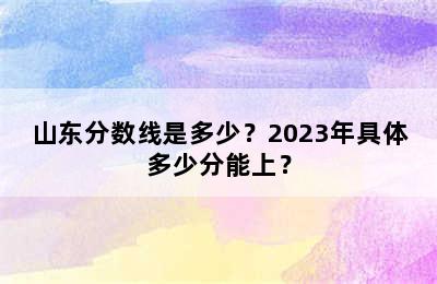 山东分数线是多少？2023年具体多少分能上？