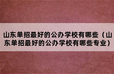 山东单招最好的公办学校有哪些（山东单招最好的公办学校有哪些专业）