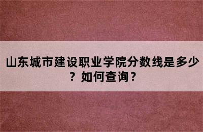 山东城市建设职业学院分数线是多少？如何查询？