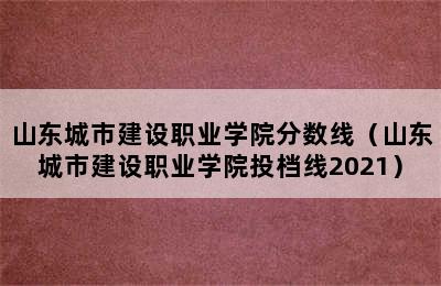 山东城市建设职业学院分数线（山东城市建设职业学院投档线2021）