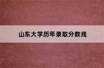 山东大学历年录取分数线