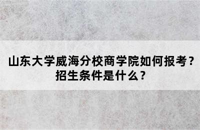 山东大学威海分校商学院如何报考？招生条件是什么？