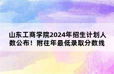 山东工商学院2024年招生计划人数公布！附往年最低录取分数线