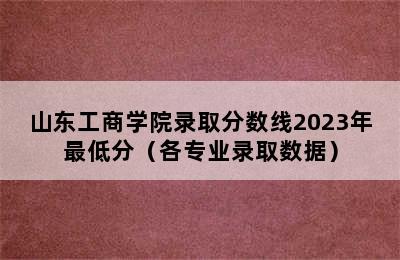 山东工商学院录取分数线2023年最低分（各专业录取数据）